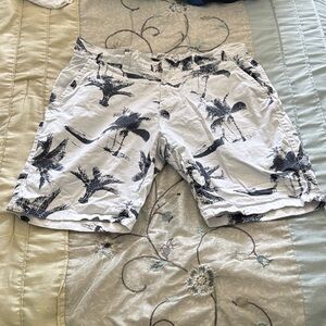 Palm Tree Print Mens Shorts